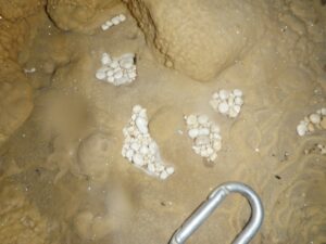 Perles des cavernes